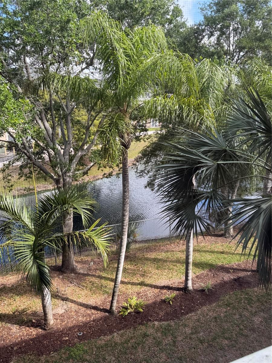 Image 12 of 50 For 3176 Lake Bayshore Drive 319