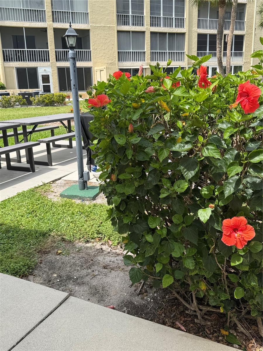 Image 50 of 50 For 3176 Lake Bayshore Drive 319