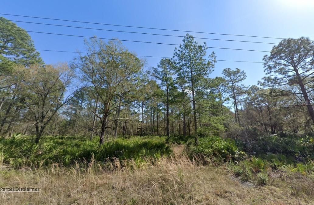 Details for 10620 Yeager Avenue, HASTINGS, FL 32145