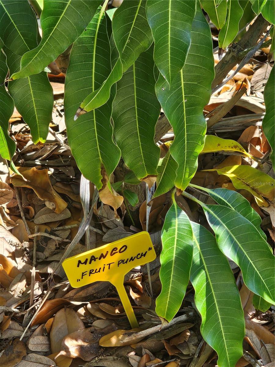 Image 10 of 79 For 2303 45th Street E