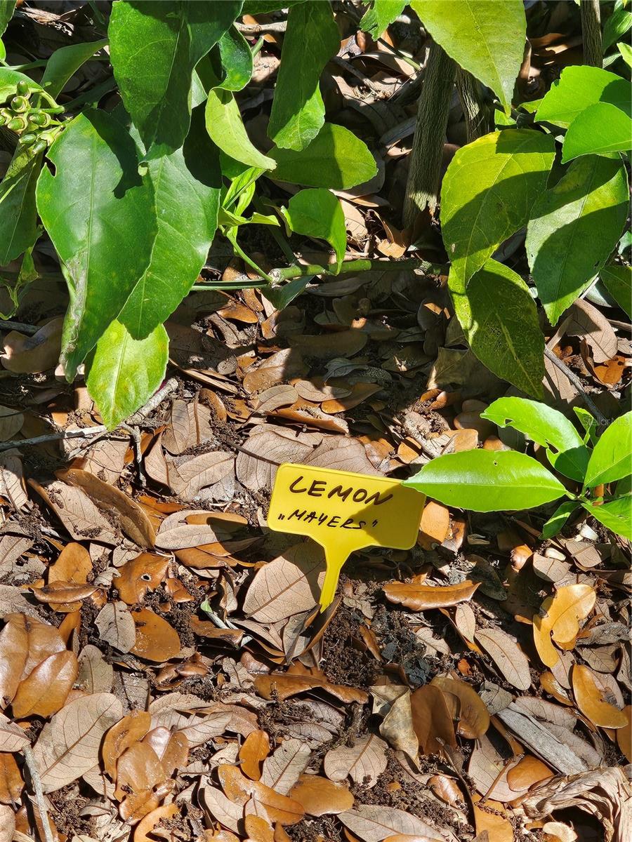 Image 59 of 79 For 2303 45th Street E