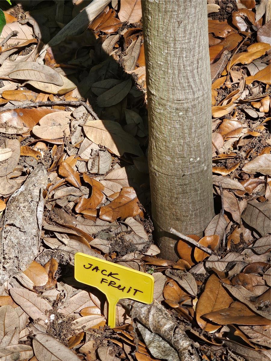 Image 60 of 79 For 2303 45th Street E