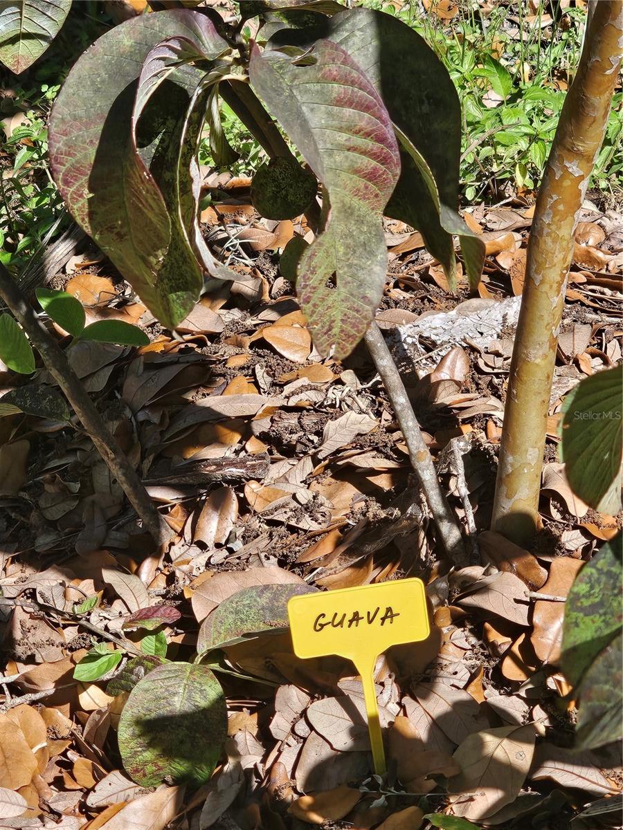 Image 61 of 79 For 2303 45th Street E