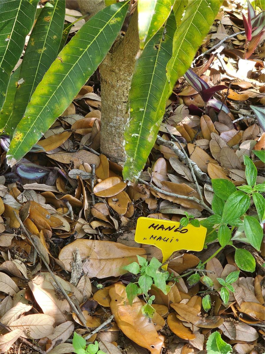 Image 8 of 79 For 2303 45th Street E