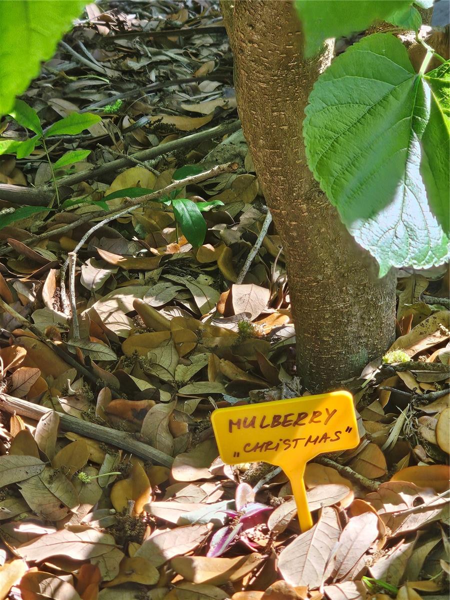 Image 9 of 79 For 2303 45th Street E