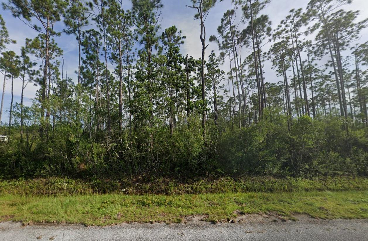 Image 2 of 6 For 263 Wildwood Drive