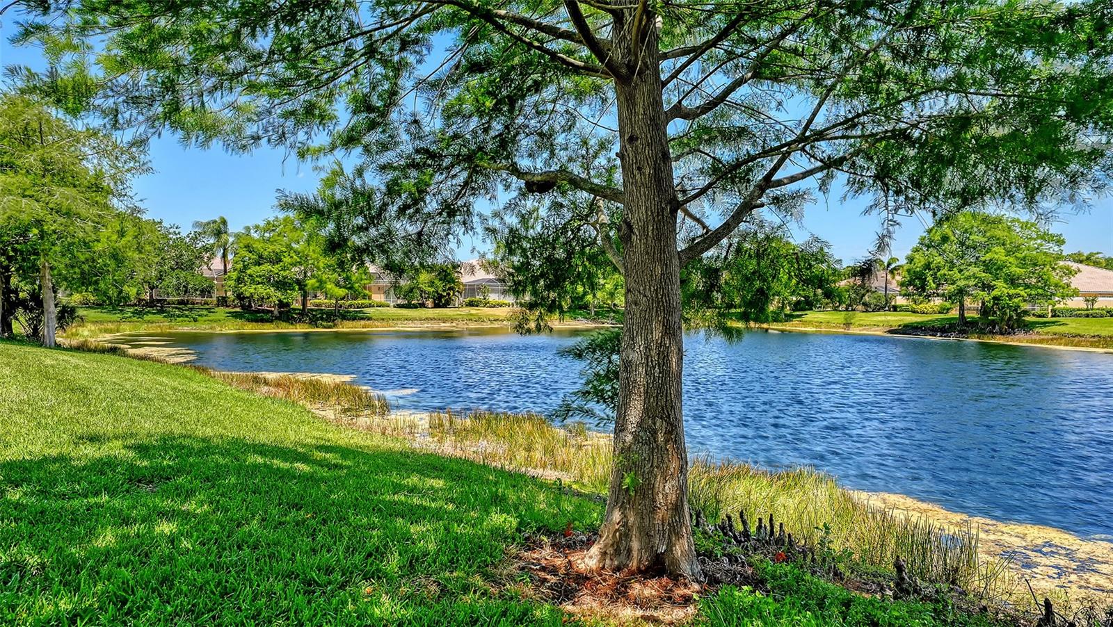 Image 67 of 100 For 7775 Uliva Way