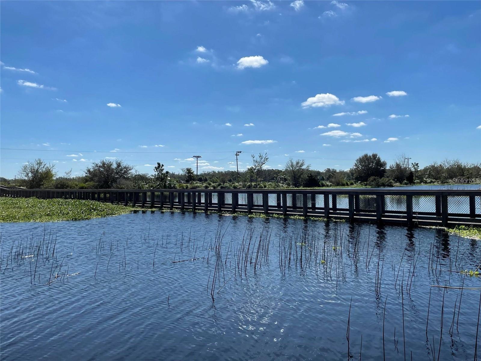 Image 55 of 57 For 8425 Nandina Drive