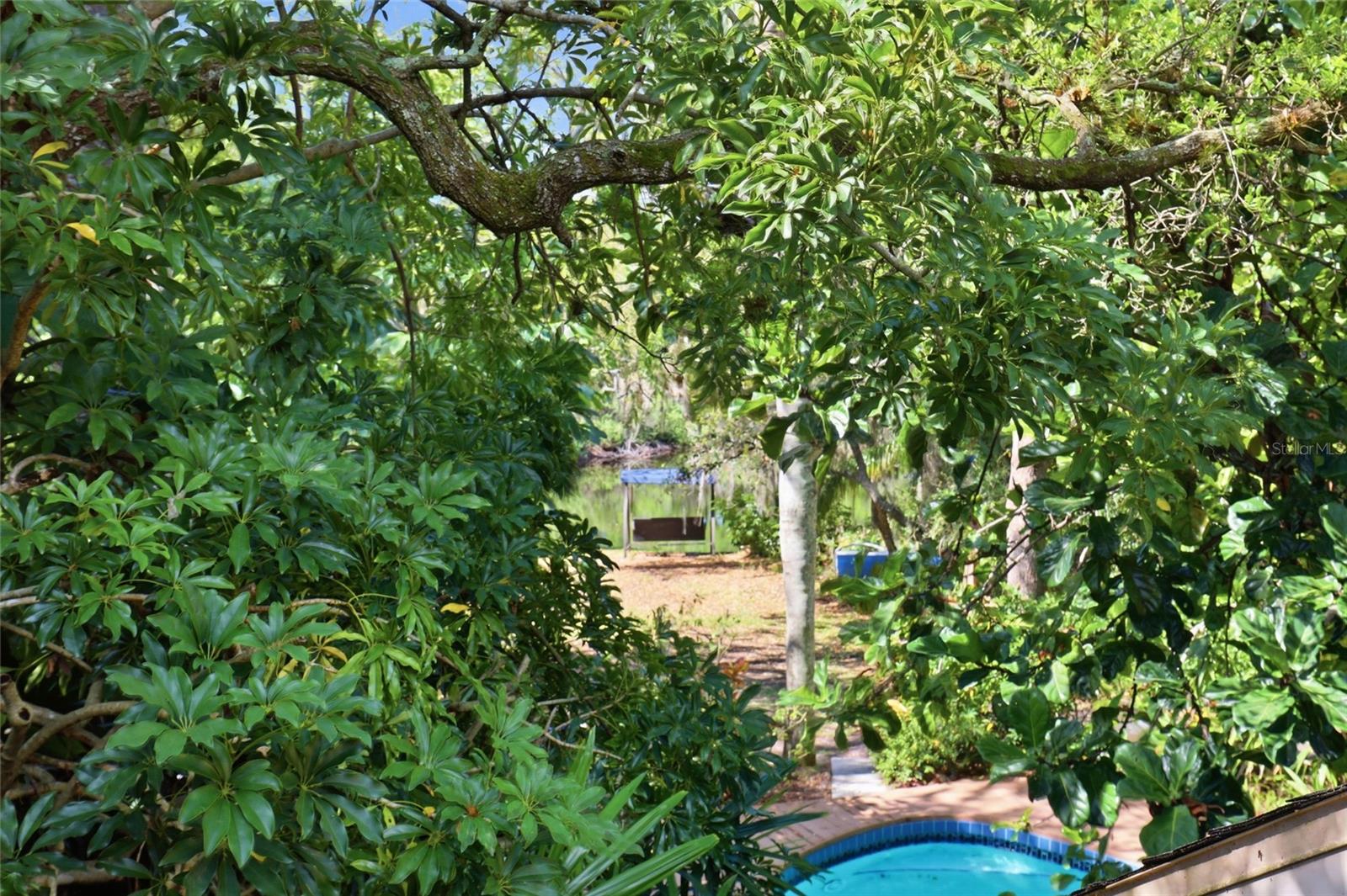 Image 23 of 46 For 7336 Curlew Street