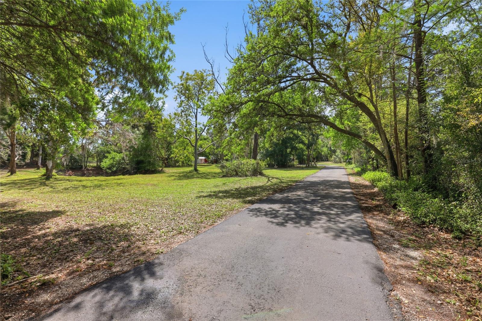 Image 34 of 46 For 7336 Curlew Street