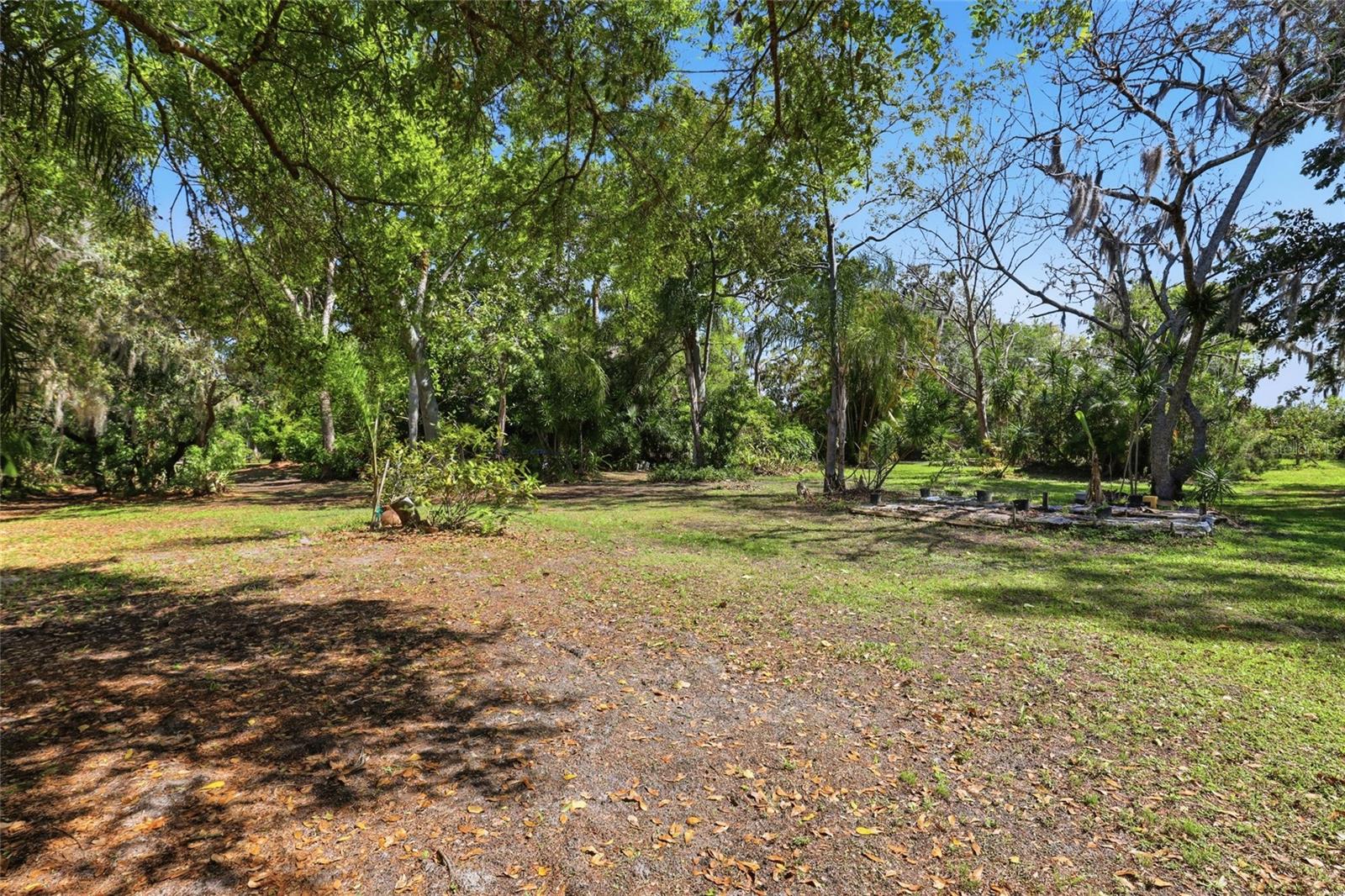 Image 35 of 46 For 7336 Curlew Street