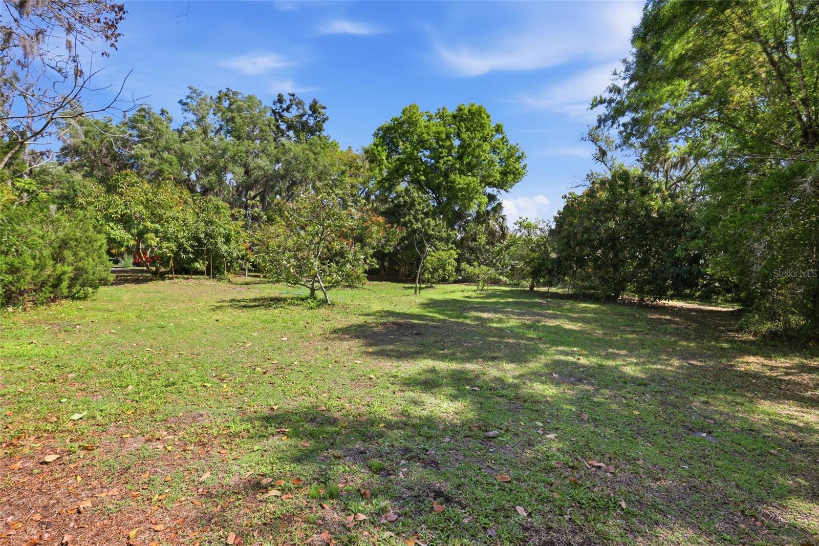 Image 36 of 46 For 7336 Curlew Street