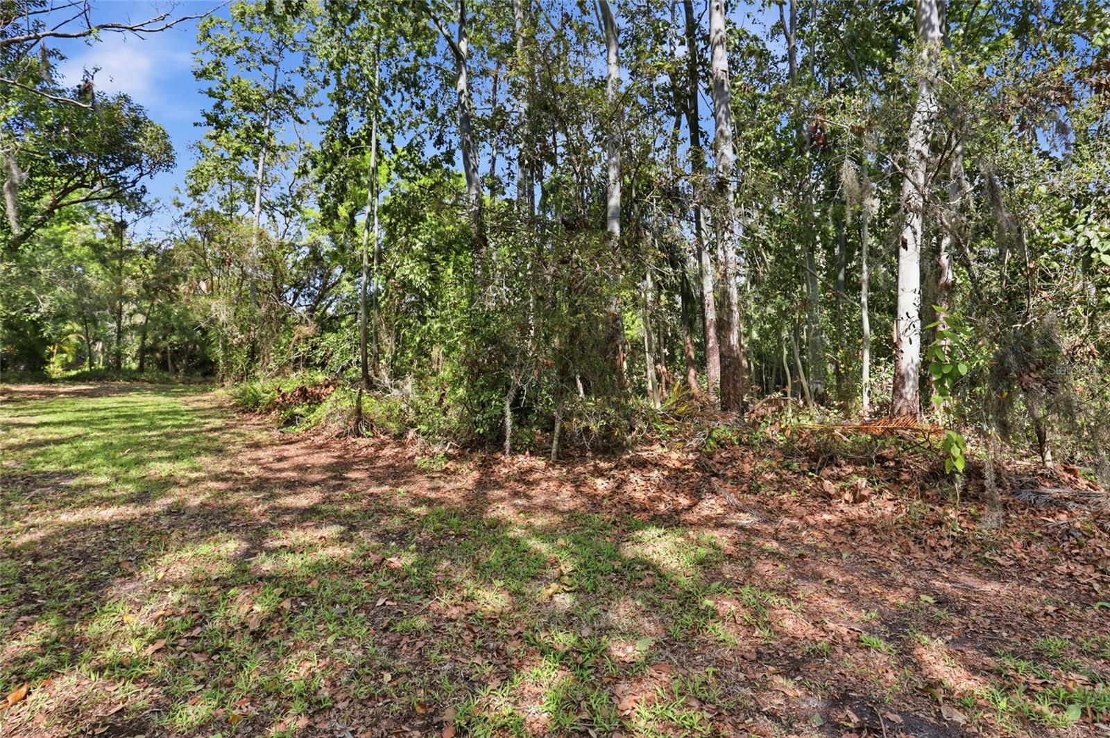 Image 37 of 46 For 7336 Curlew Street