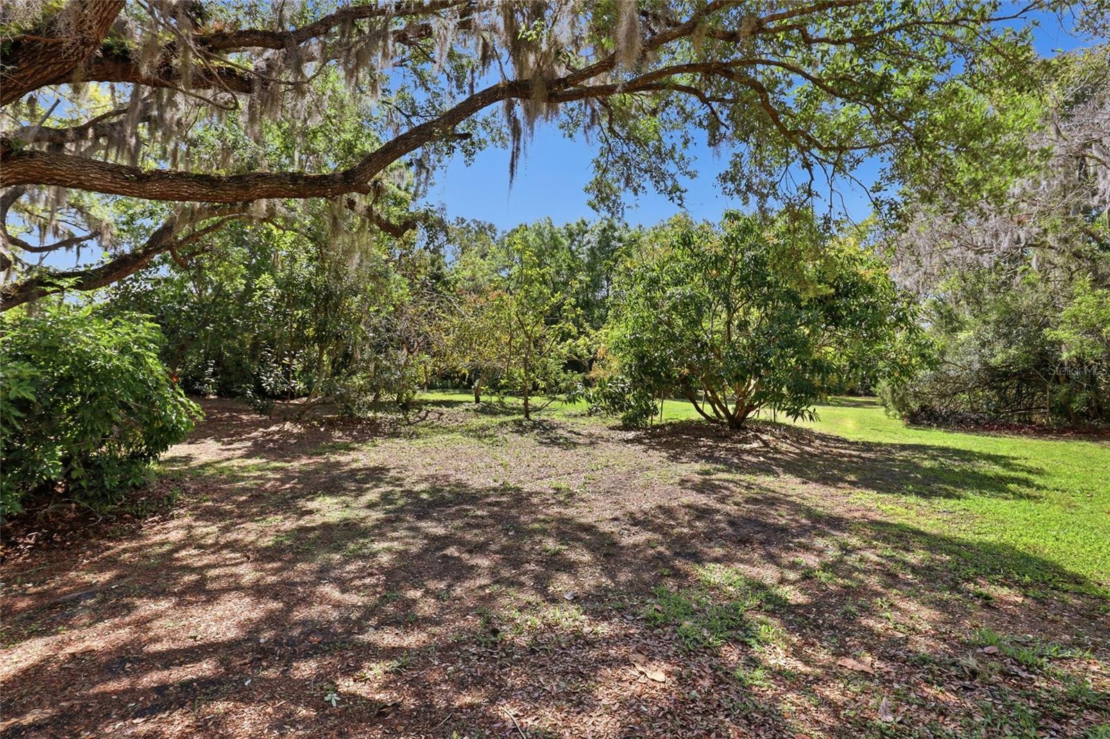 Image 38 of 46 For 7336 Curlew Street