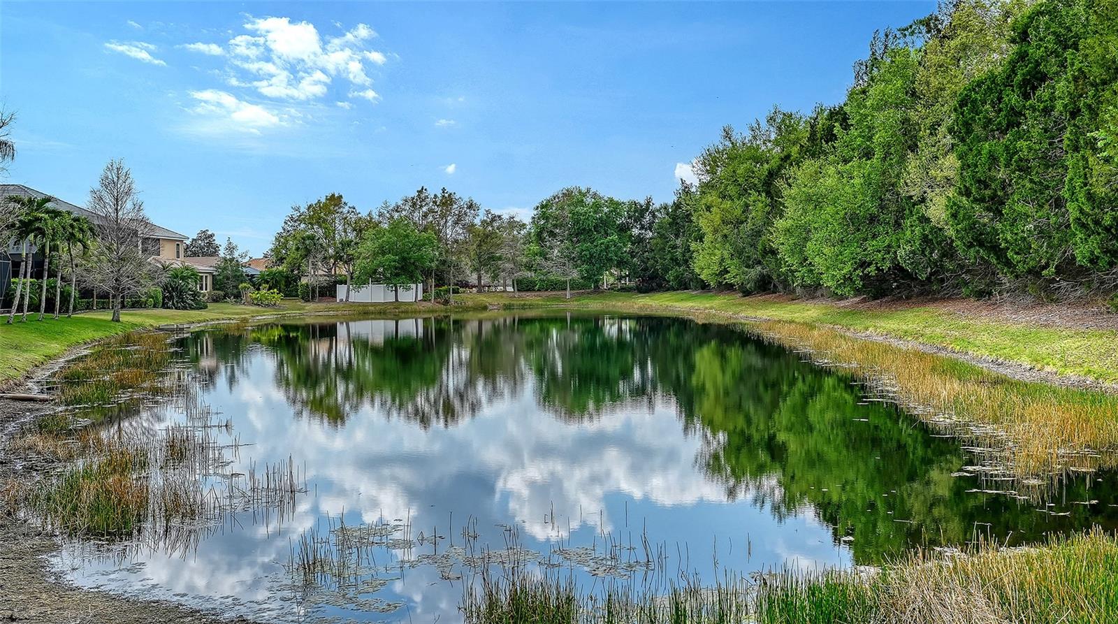 Image 40 of 47 For 15005 Bowfin Terrace