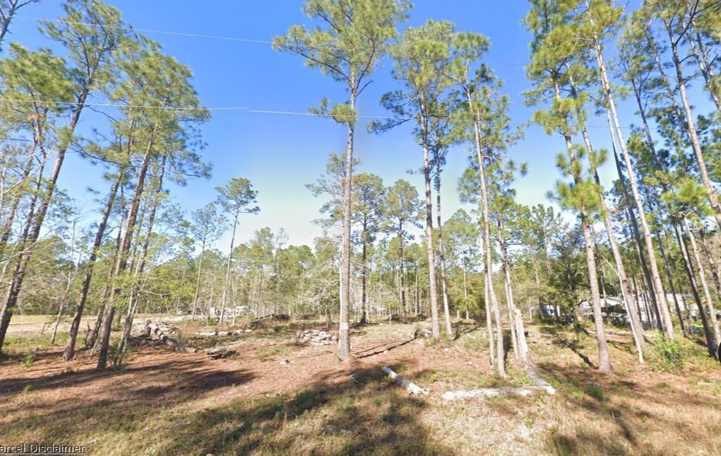 Details for 4335 Theresa Street, HASTINGS, FL 32145