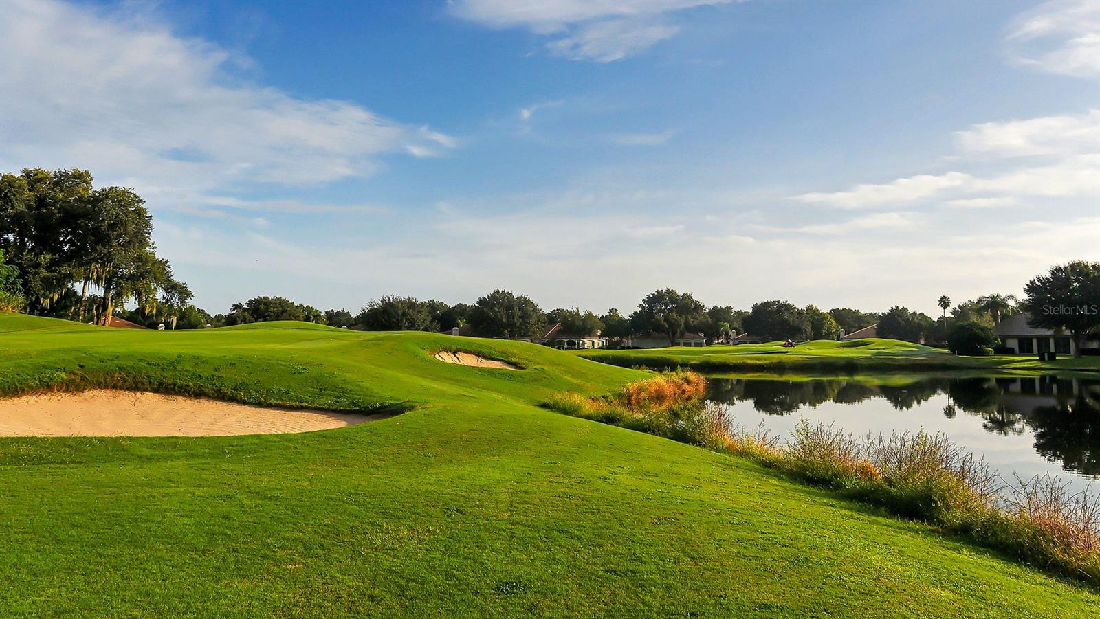 Image 20 of 34 For 4396 Woodmans Chart  146