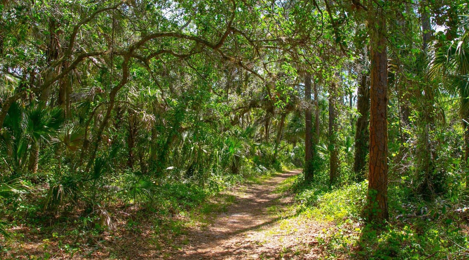 Image 28 of 34 For 4396 Woodmans Chart  146