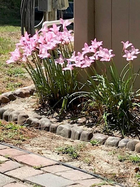 Image 57 of 59 For 2631 Fiesta Drive