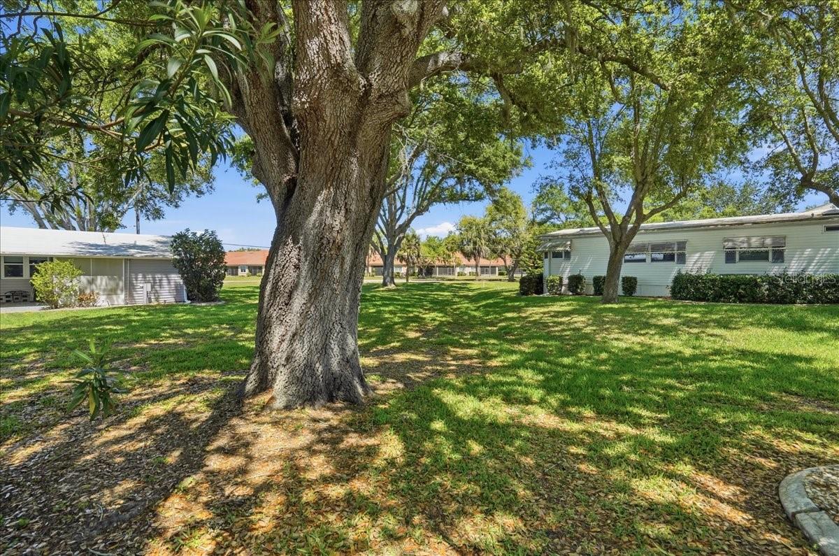 Image 8 of 46 For 8514 Monarch Place