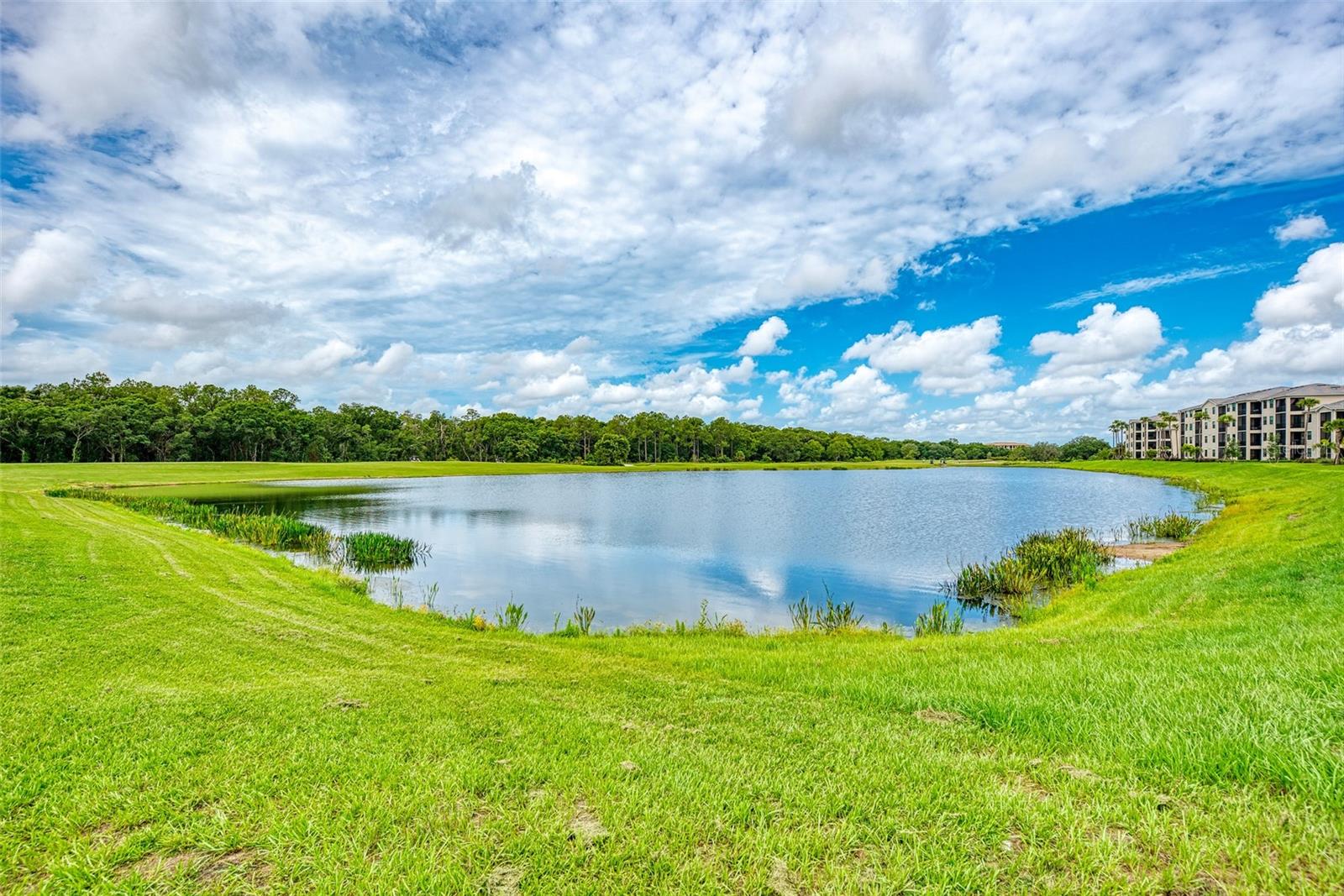 Image 33 of 46 For 17704 Gawthrop Drive 207