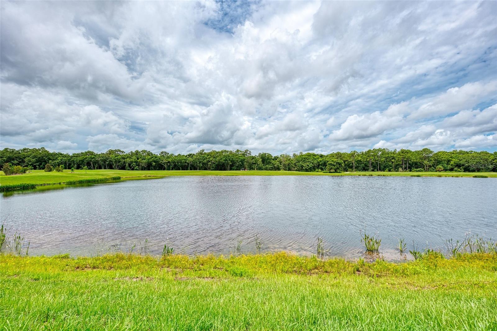 Image 34 of 46 For 17704 Gawthrop Drive 207