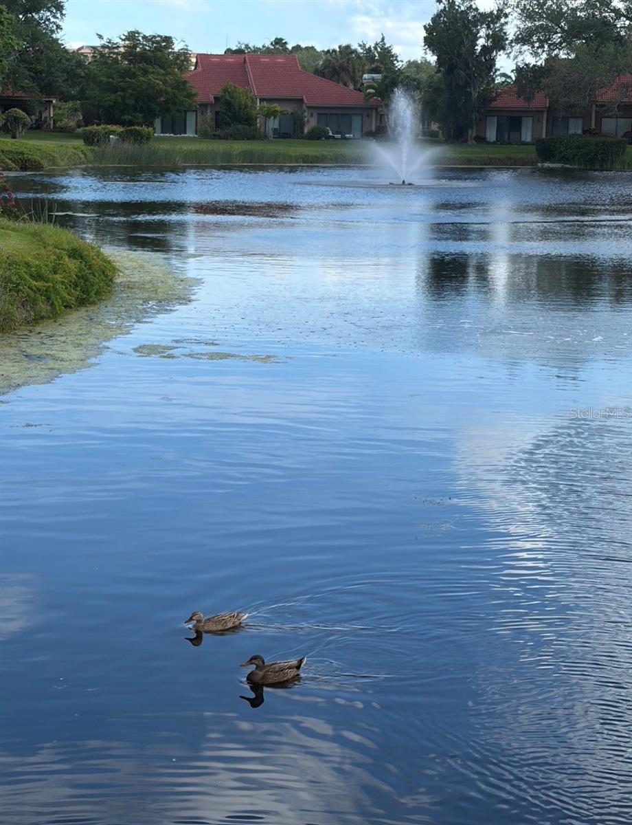 Image 31 of 43 For 1732 Kestral Park Way S 43