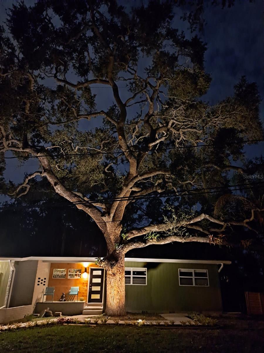 Image 26 of 26 For 952 46th Street