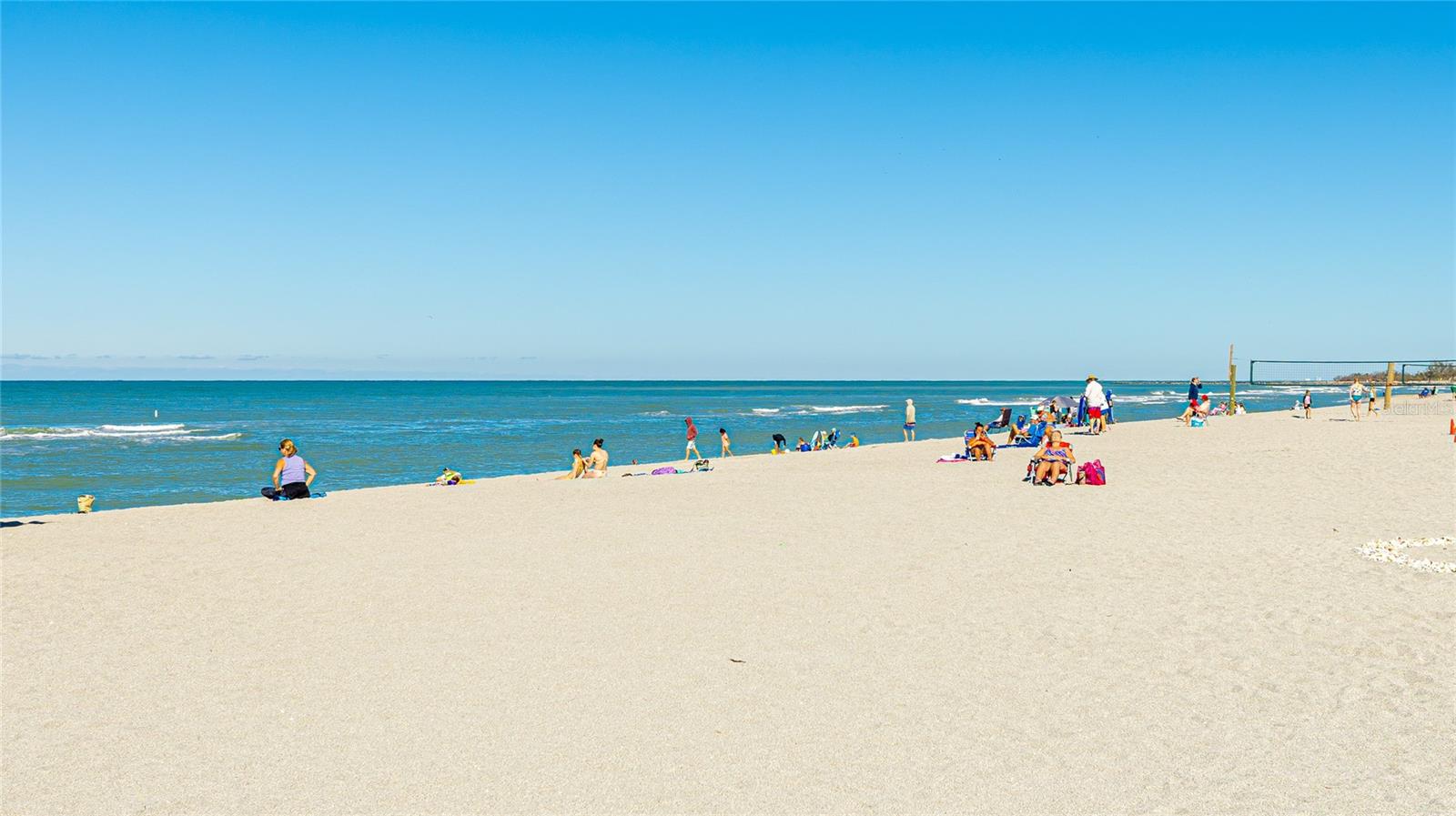 Image 66 of 69 For 167 Tampa Avenue E 914