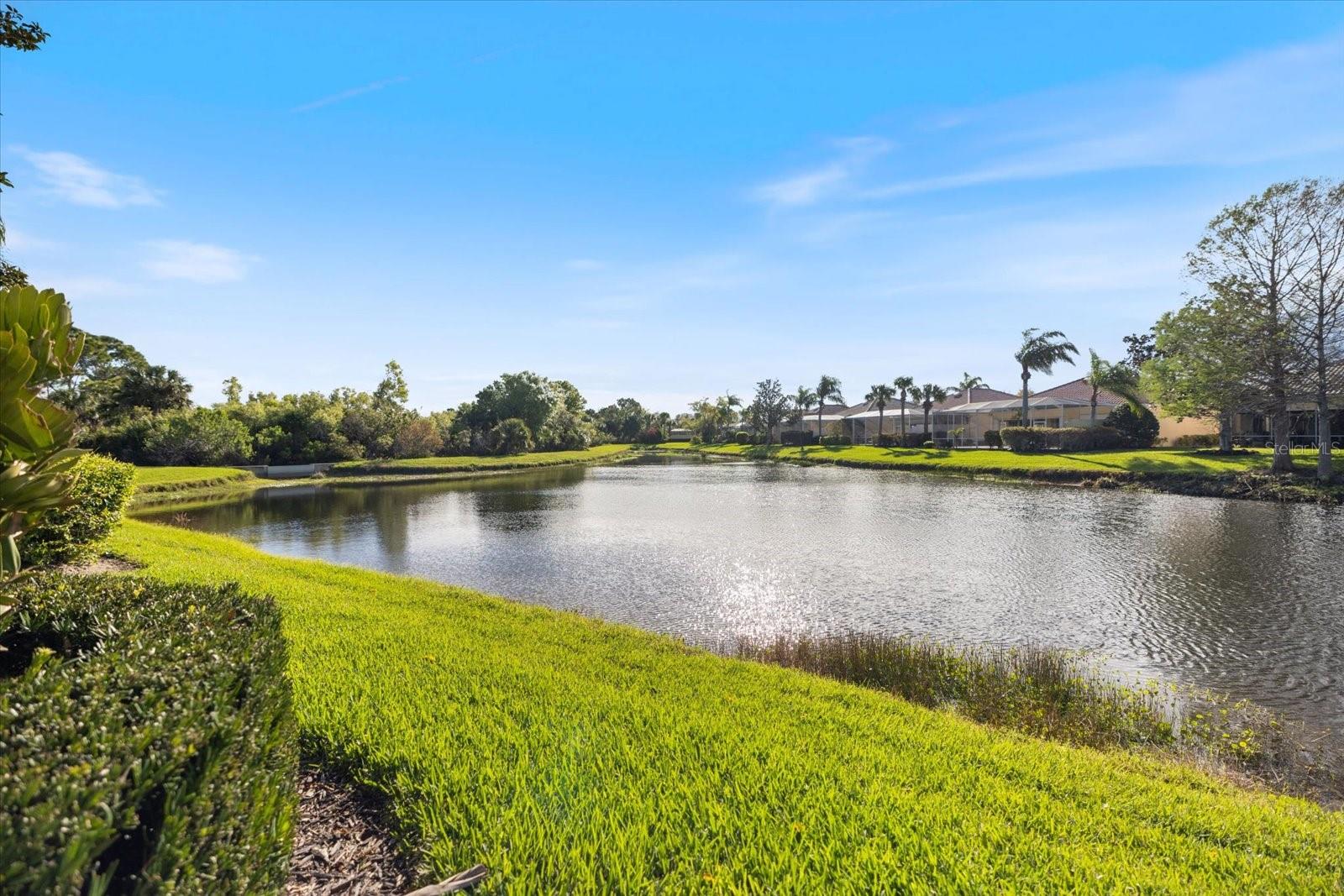 Image 39 of 63 For 7663 Pesaro Drive