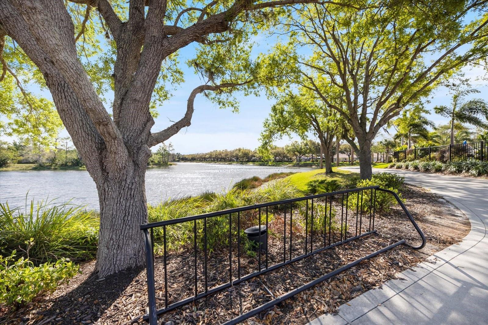 Image 45 of 63 For 7663 Pesaro Drive