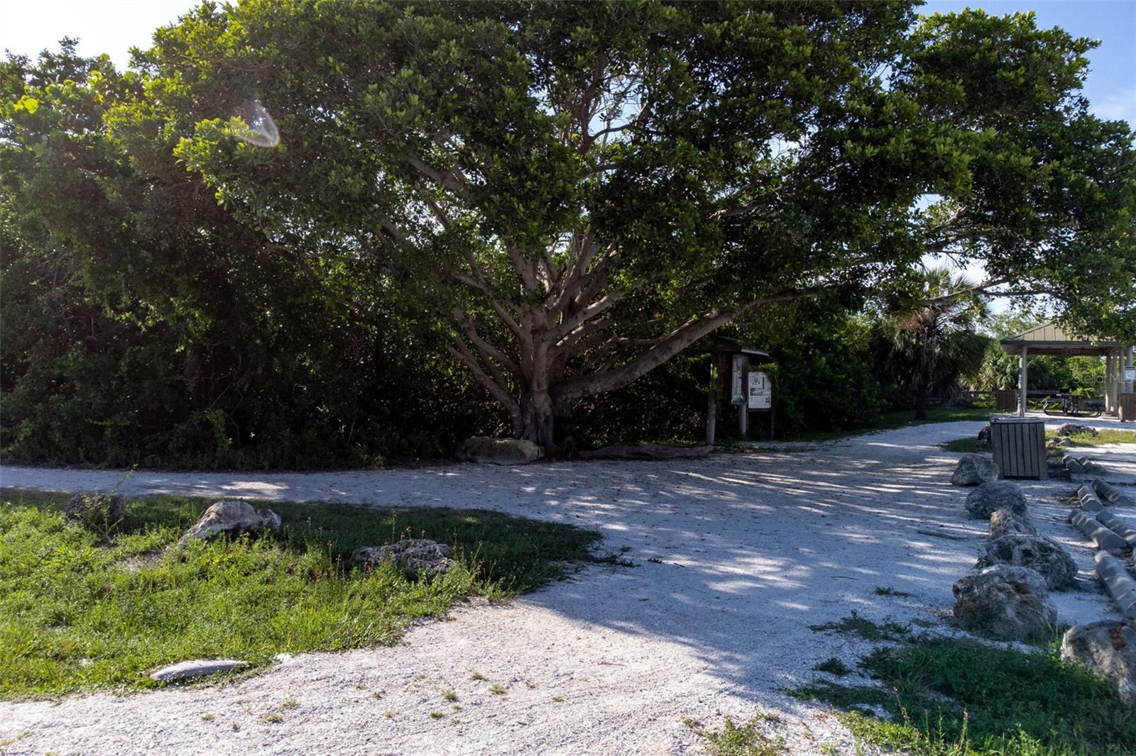 Image 62 of 71 For 1517 43rd Ave Drive W