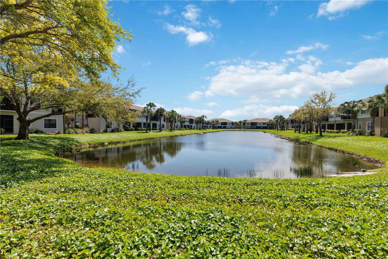 Image 46 of 56 For 4226 Overture Circle