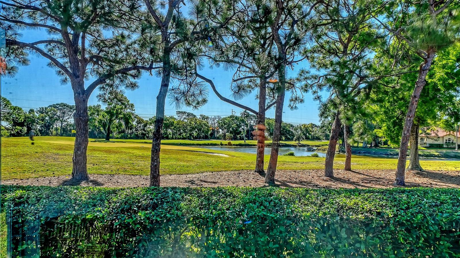 Image 42 of 87 For 3410 Chelmsford Court 3