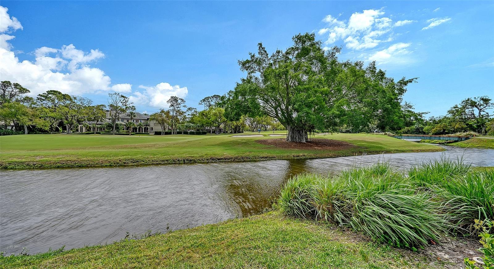 Image 48 of 100 For 228 Saint James Park