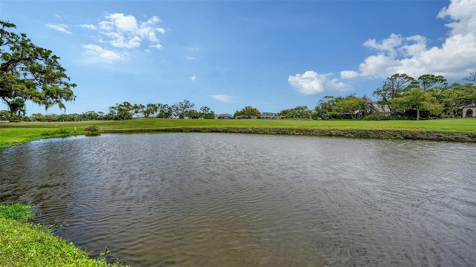 Image 49 of 100 For 228 Saint James Park