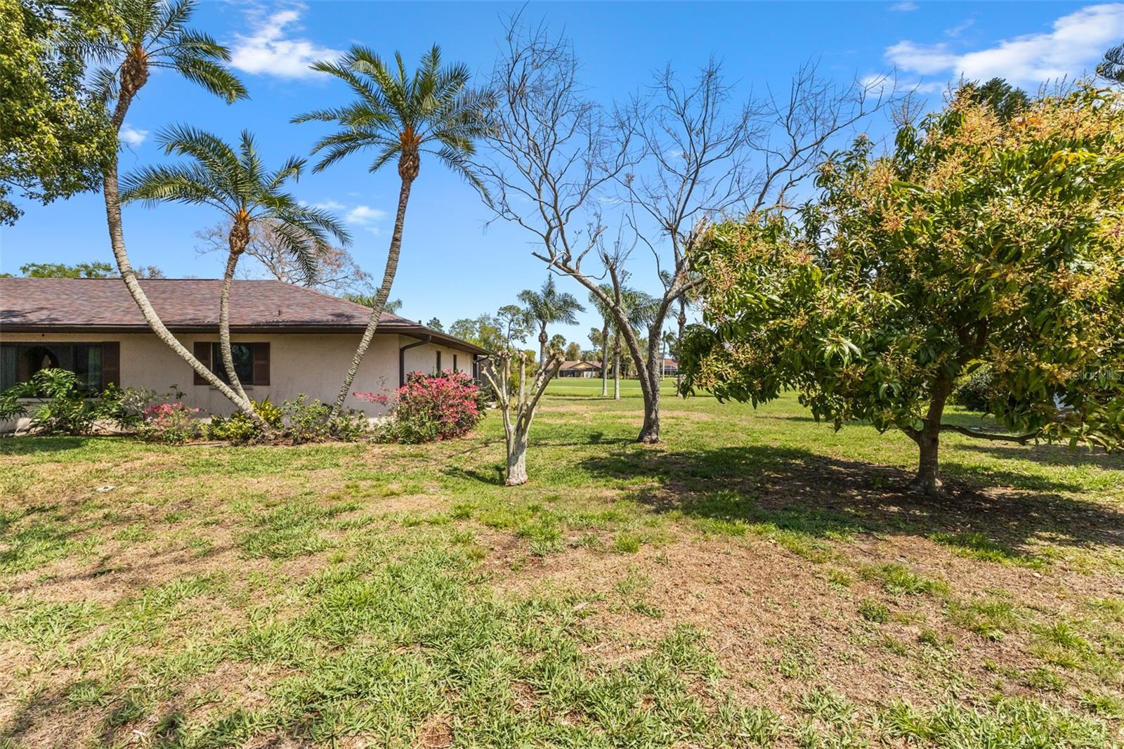 Image 4 of 84 For 5109 Palm Aire Drive