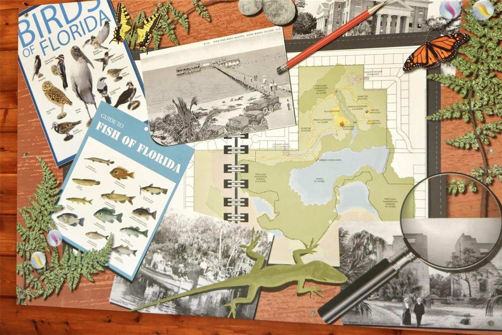 Image 80 of 84 For 5109 Palm Aire Drive