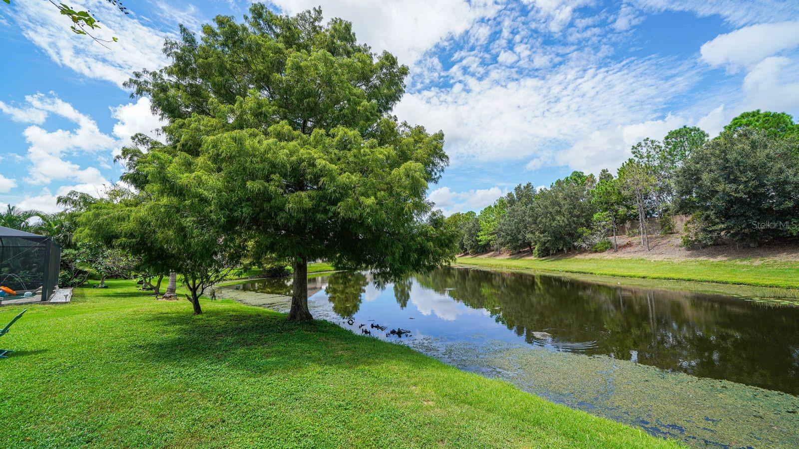 Image 38 of 53 For 6122 Blue Runner Court