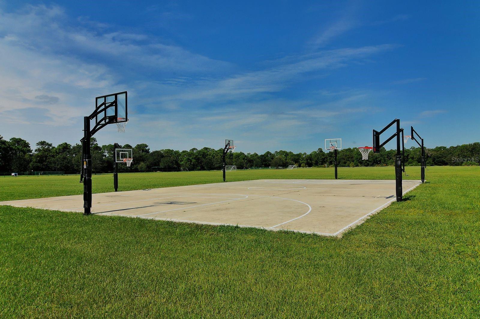 Image 41 of 53 For 6122 Blue Runner Court