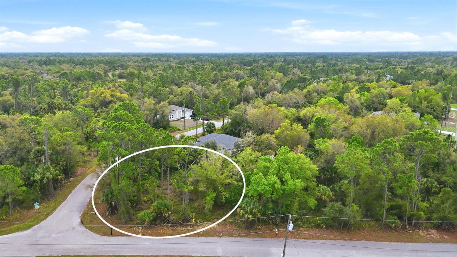 Image 2 of 10 For Dryden Street