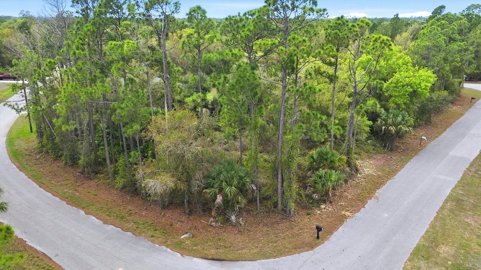 Image 3 of 10 For Dryden Street