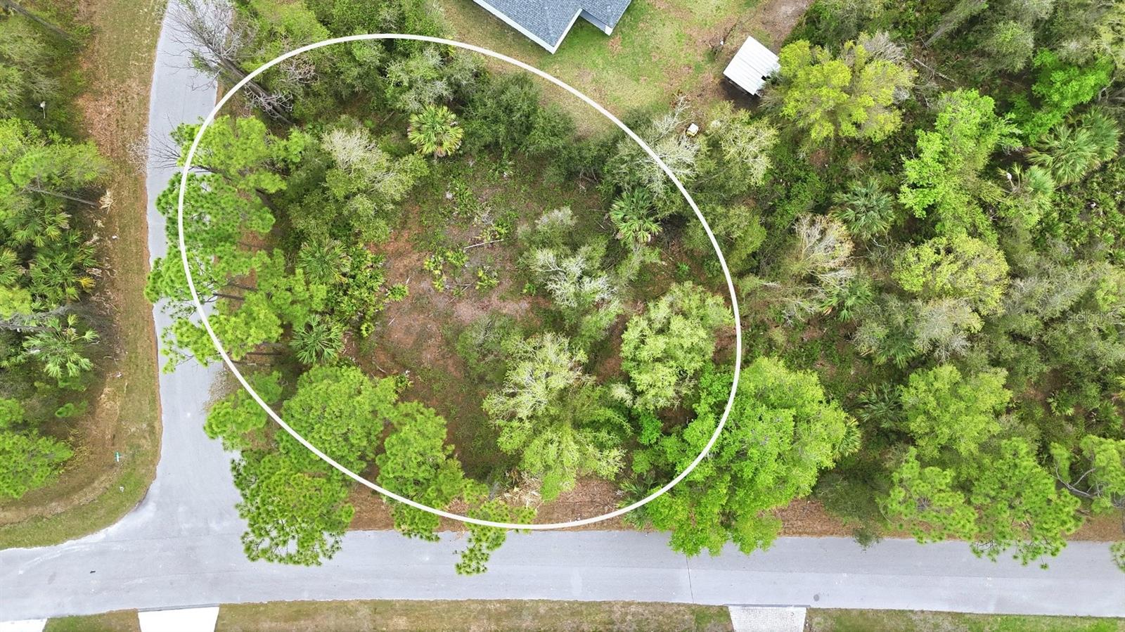 Image 4 of 10 For Dryden Street