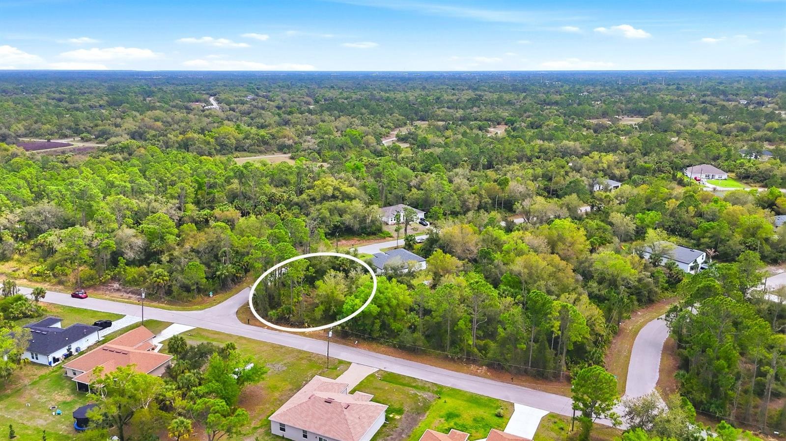 Image 8 of 10 For Dryden Street