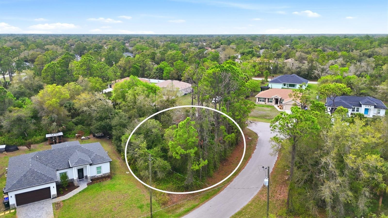 Image 9 of 10 For Dryden Street