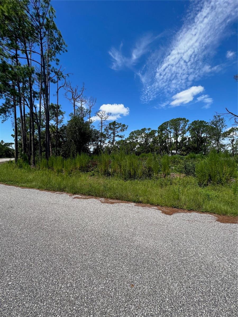 Image 5 of 5 For 4841 O Shea Street