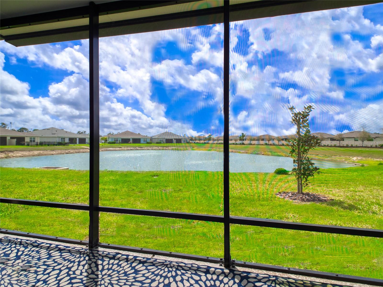 Image 24 of 41 For 16308 Lady Palm Drive