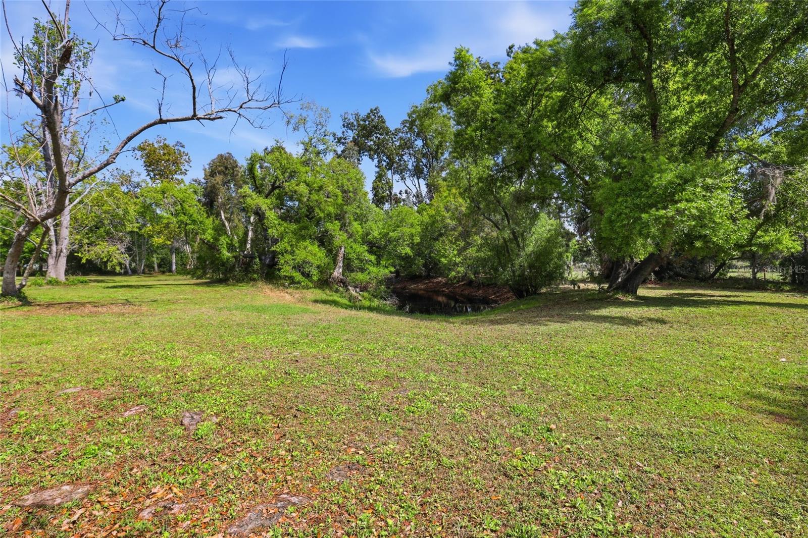 Image 10 of 11 For 7336 Curlew Street