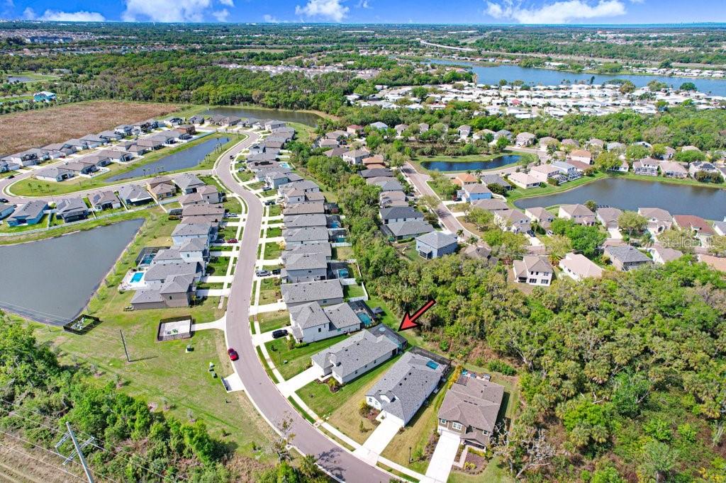 Image 38 of 42 For 8251 Tea Olive Terrace