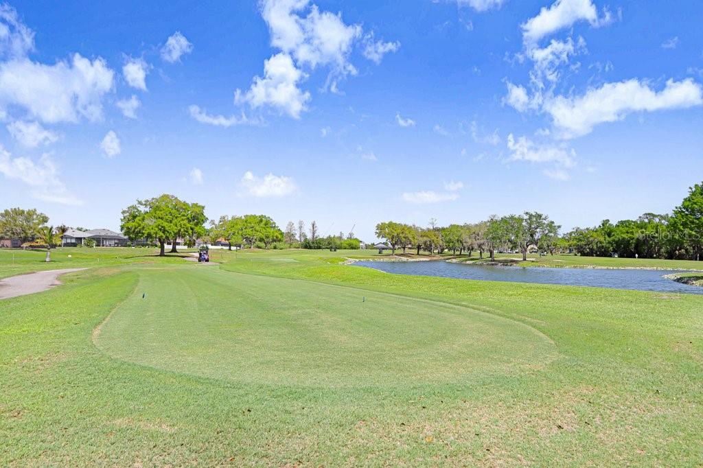 Image 6 of 42 For 8251 Tea Olive Terrace